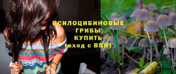 ешки Алзамай