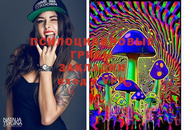 PSILOCYBIN Алексеевка
