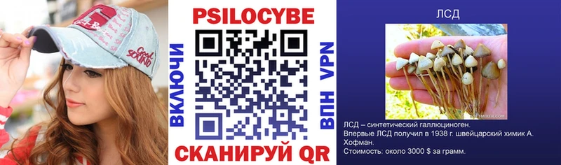 где купить наркоту  Алзамай  shop как зайти  Псилоцибиновые грибы мицелий 
